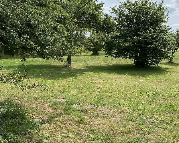 Gemuetliches An Der Ostsee Mit Garten Ferienhaus Rerik